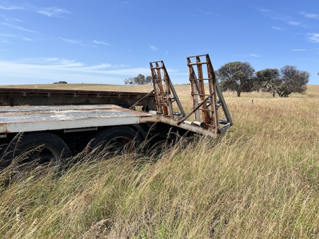 003a Beaver Tail Plant Trailer