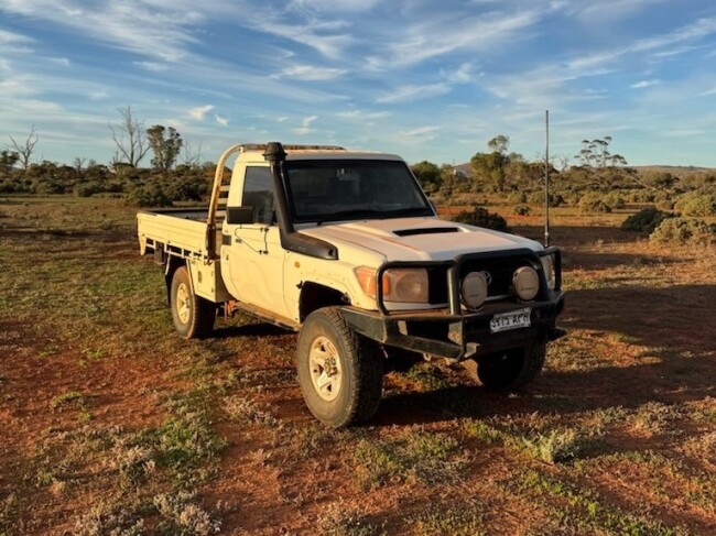 01 Landcruisers