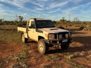01 Landcruisers