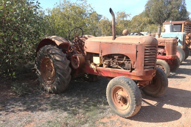 10 Massey Harris 102 Junior tractor a
