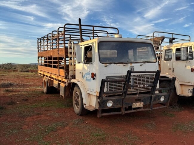 11 Acco trucks