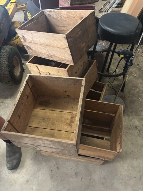19 v33