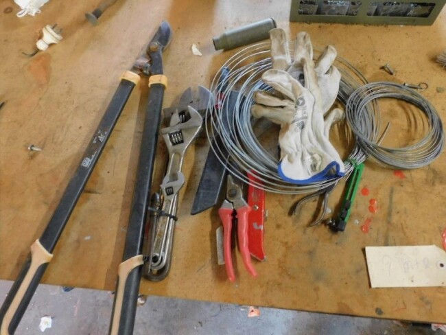 223 v6