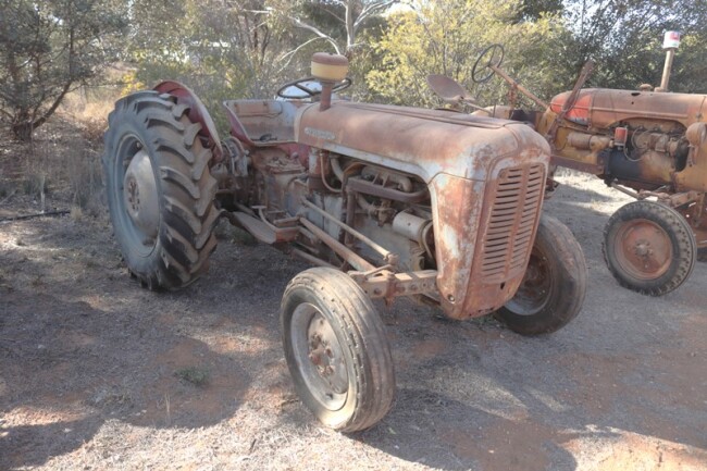 23 Ferguson 35 grey gold belly tractor a