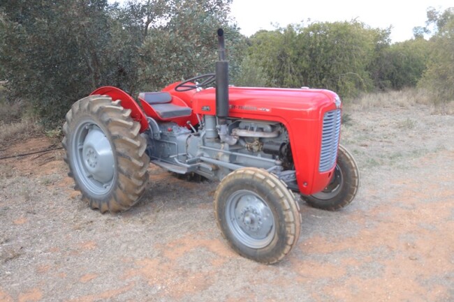 26 Massey Ferguson 35 petrol tractor restored