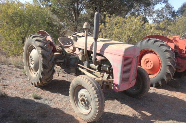 30 Massey Ferguson grey tractor 2