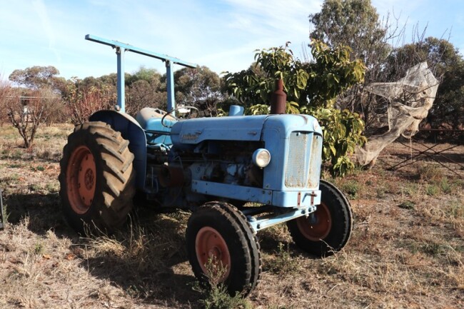 44 Fordson Major tractor a