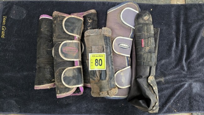 Lot 080 v2