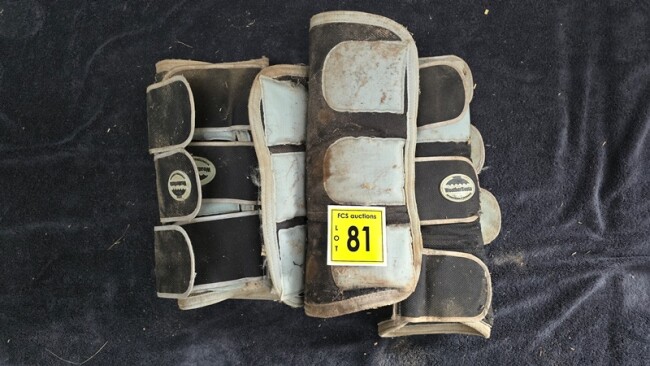 Lot 081 v2
