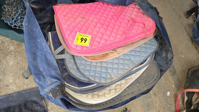 Lot 099 v2