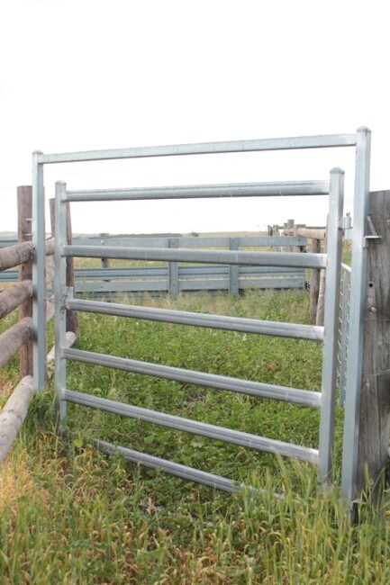 Lot 10 2