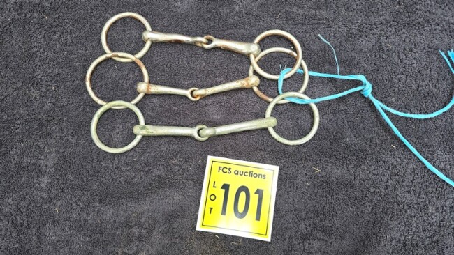 Lot 101 v7