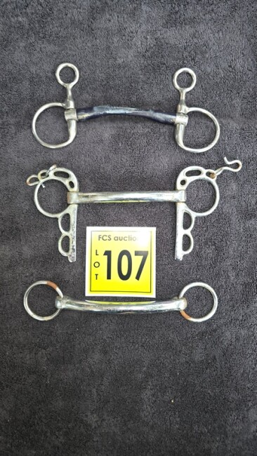 Lot 107 v4