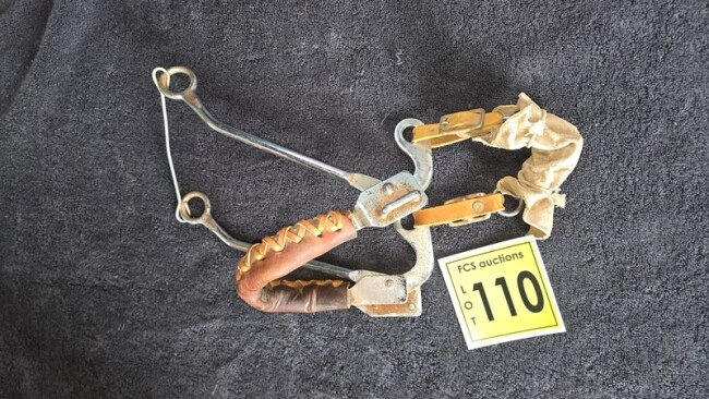Lot 110 v4