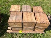 Lot 113 v3