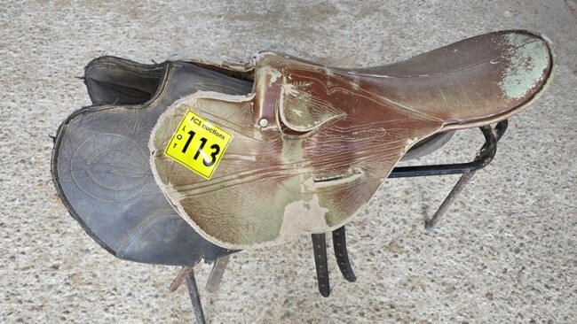 Lot 113 v4
