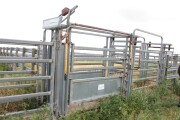 Lot 12 v8
