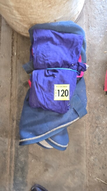 Lot 120 v6