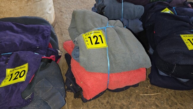 Lot 121 v4