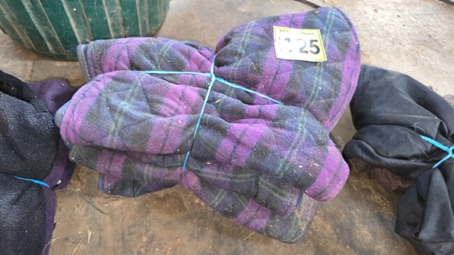 Lot 125 v4