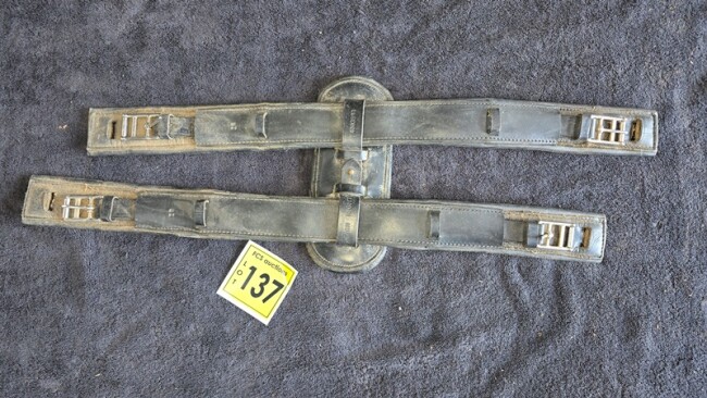 Lot 137 v5
