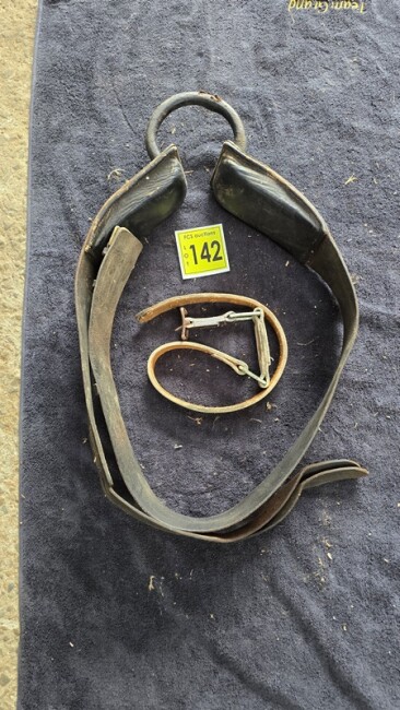 Lot 142 v4