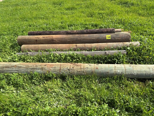 Lot 144 Timber Posts