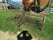 Lot 151 Sheep Race