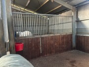 Lot 203 1