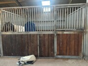 Lot 203 3