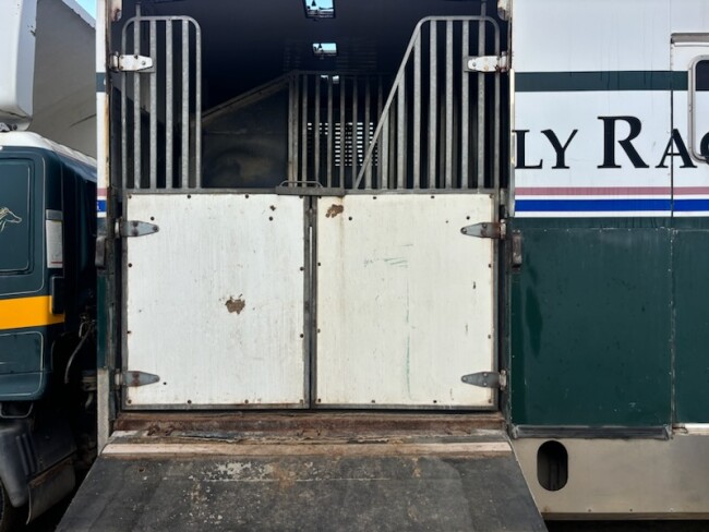 Lot 207 8