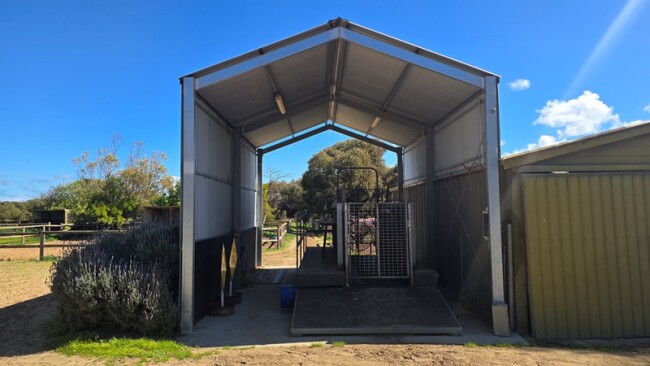 Lot 212 1