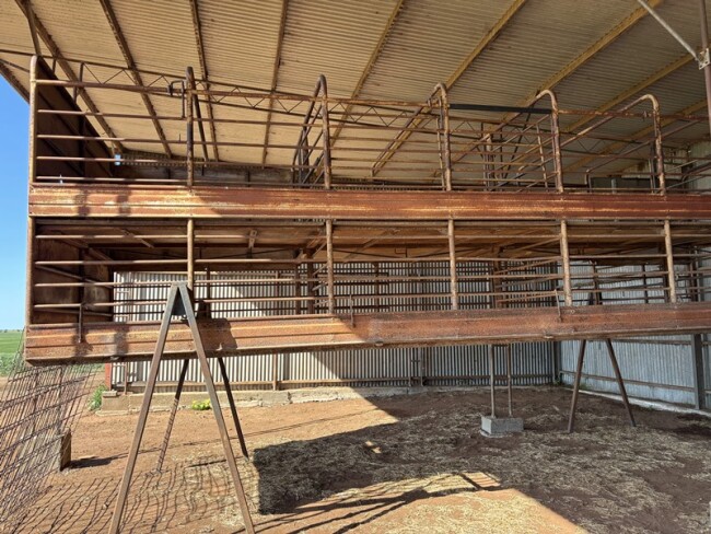 Lot 30 Sheep Stock Crate 25ft