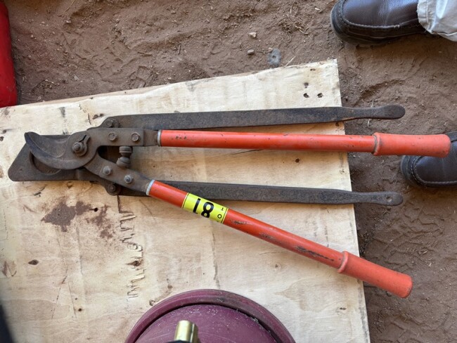 Lot 81 Horn Loppers