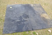 DSC 0876