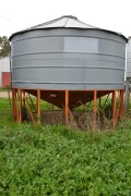 DSC 0895