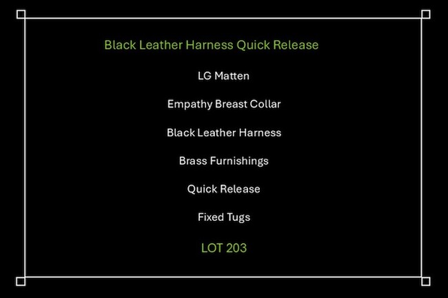 203d Bletchley Barrey