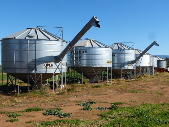 Fieldbins.2
