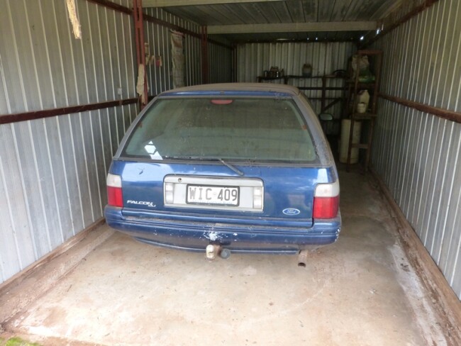 Falcon.2