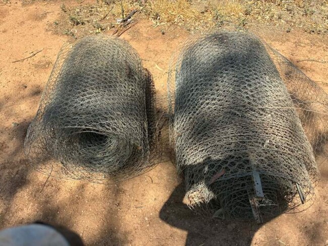 083 2 x rolls chicken wire