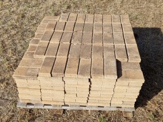 LOT 3 Pavers 220 x 110 x 40