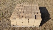 LOT 3 Pavers 220 x 110 x 40