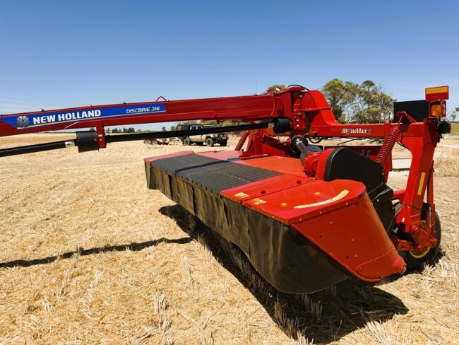 20260210 015611930 iOS