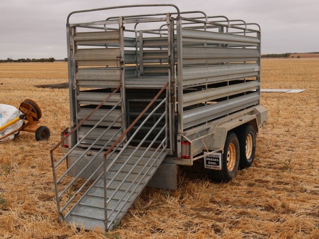 Lot 69 Miegel Bros Stock Crate Trailer 5