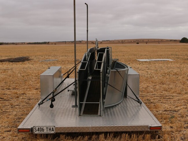 Lot 70 Combi Clamp Sheep Handling Raceway 6