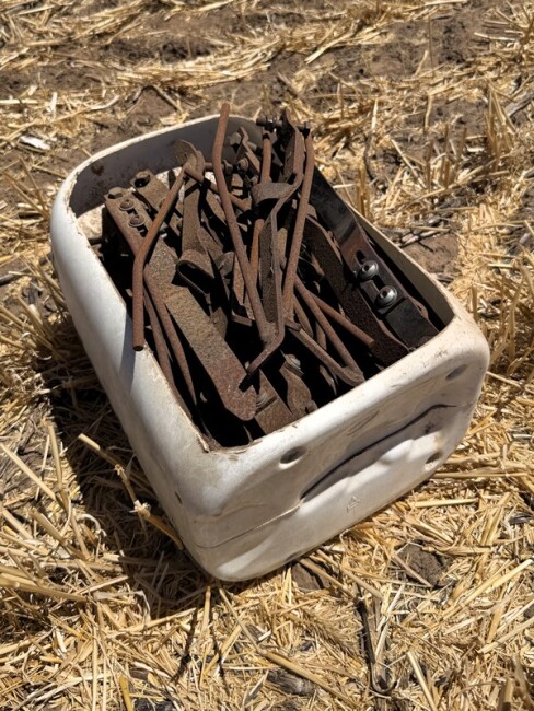 20260210 024446652 iOS