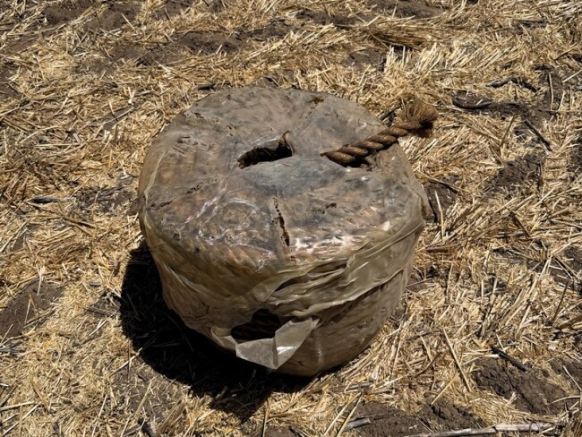 20260210 030636587 iOS