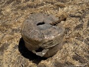 20260210 030636587 iOS