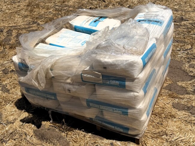 20260210 031546782 iOS