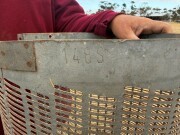 Lot 142 Hannaford screens 3